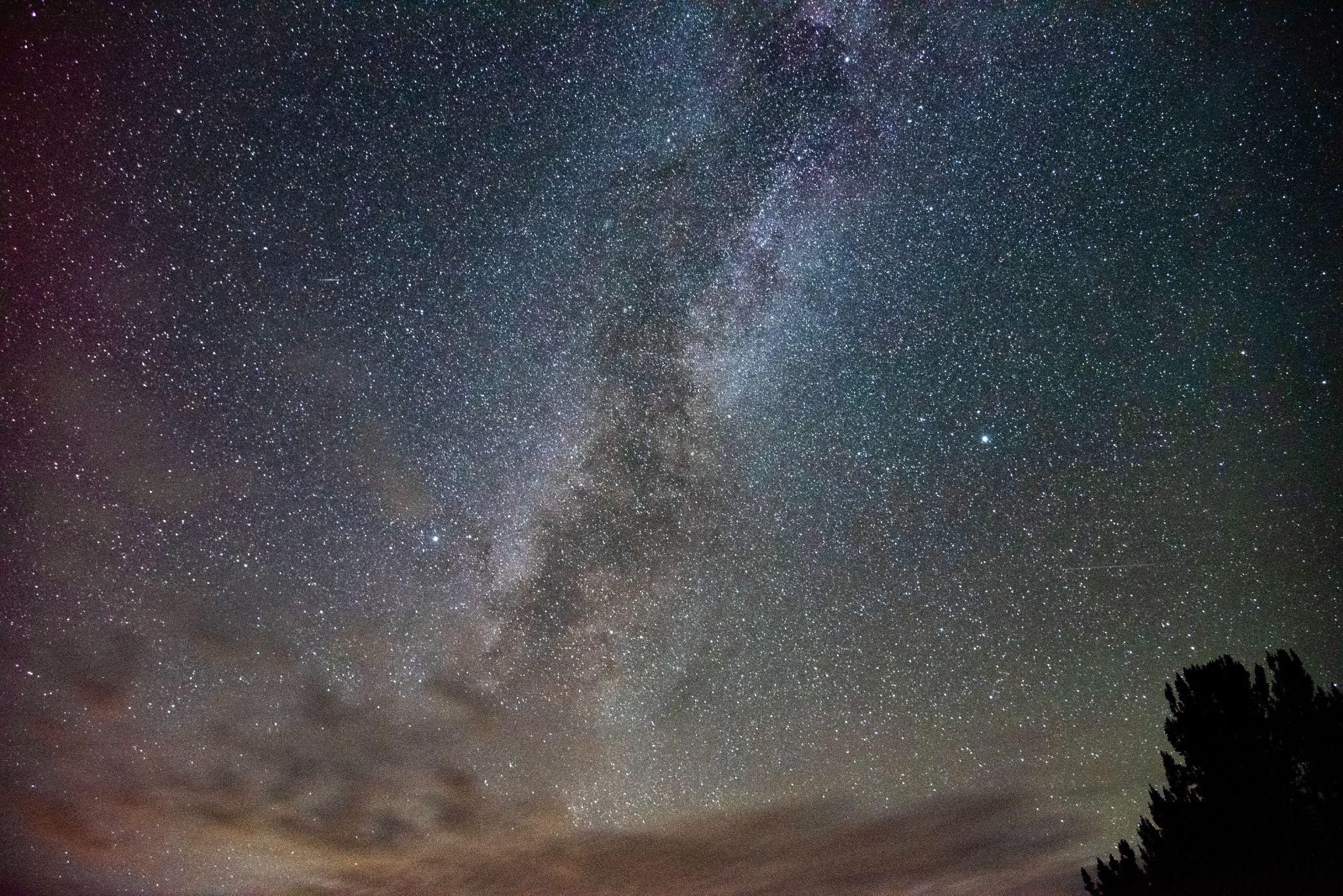 The Milky Way arching over a dark sky with trees on the horizon