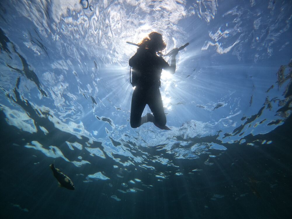 Underwater photograph