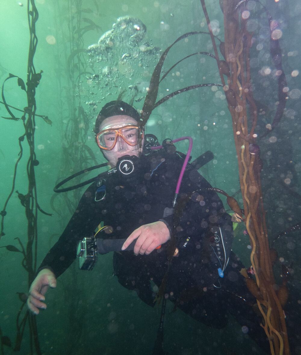 Underwater photograph