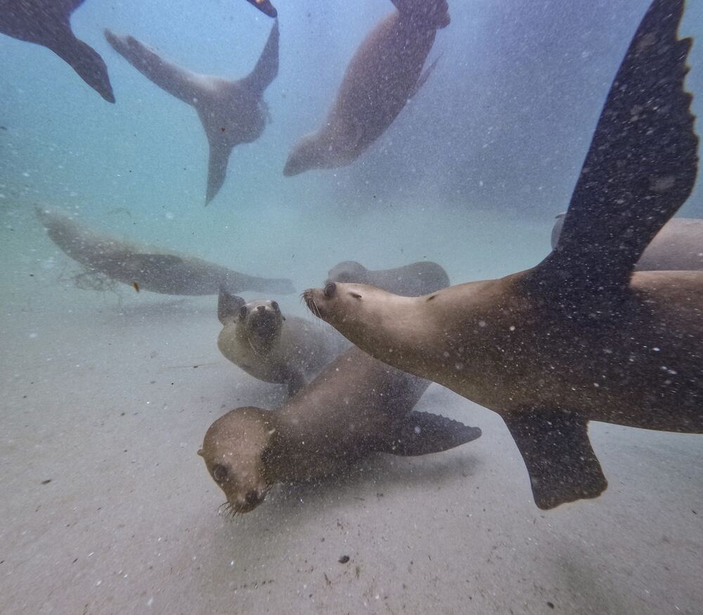 Underwater photograph