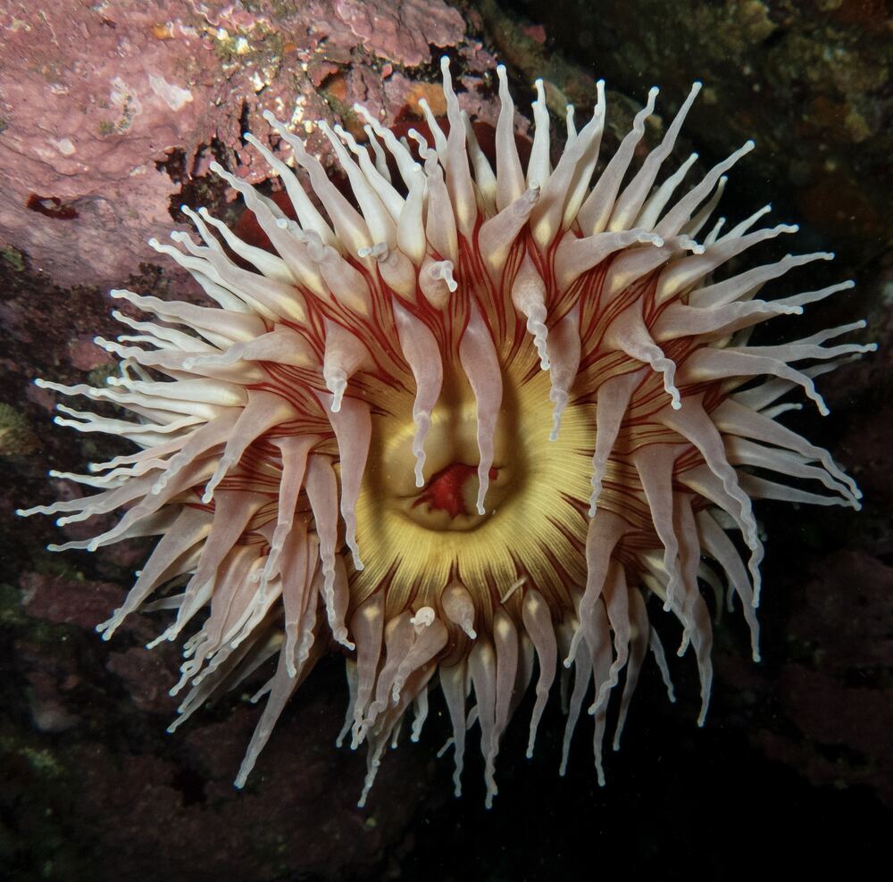 Underwater photograph