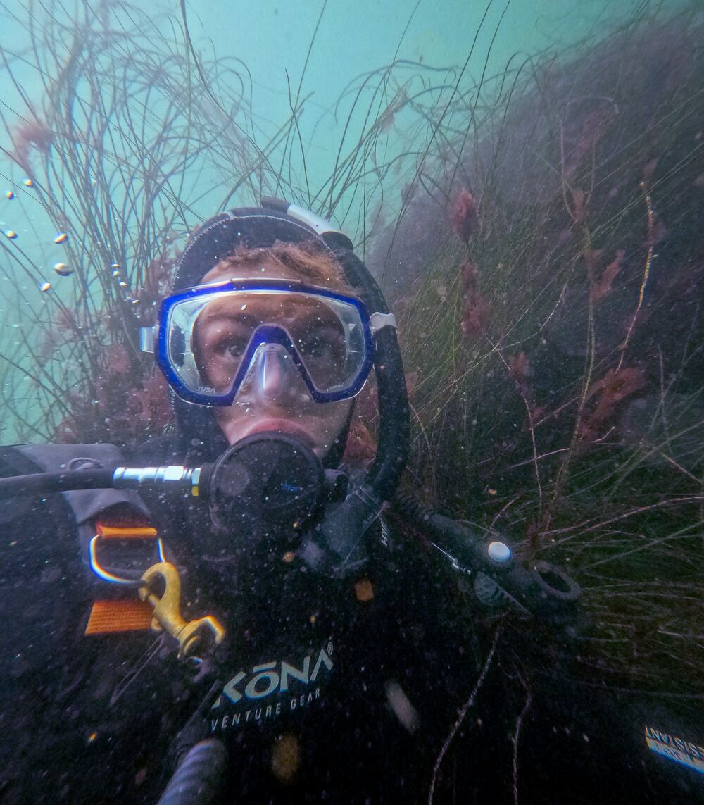 Underwater photograph