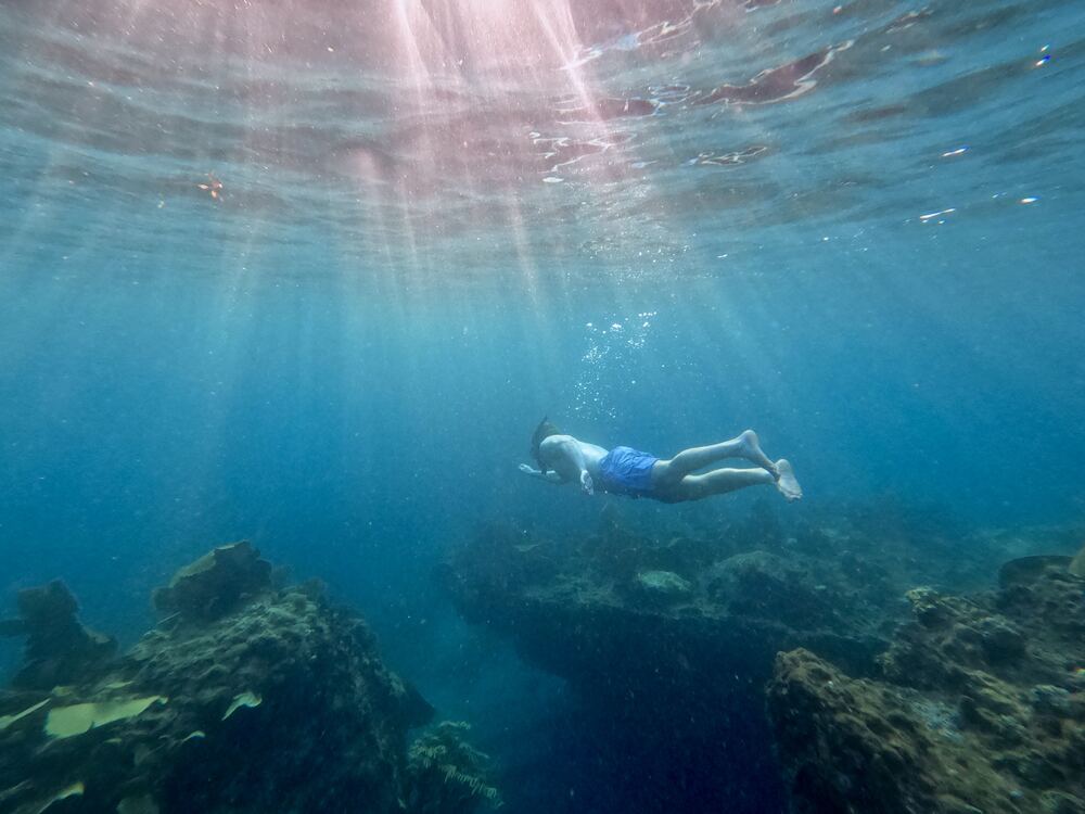 Underwater photograph