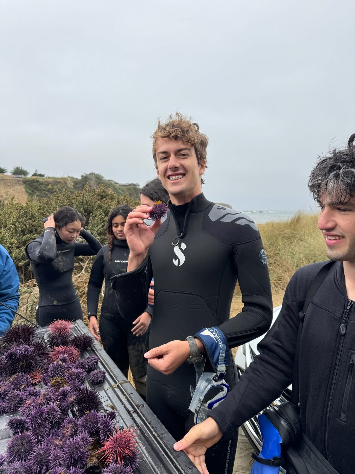 Adam in a wetsuit holding up a purple urchin beside a bin full of collected urchins